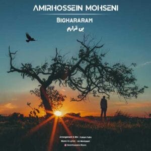 دانلود آهنگ بی قرارم امیرحسین محسنی