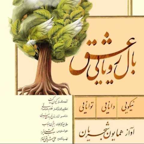 دانلود آهنگ نه عقابم نه کبوتر همایون شجریان