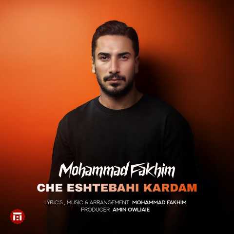 دانلود آهنگ چه اشتباهی کردم محمد فخیم