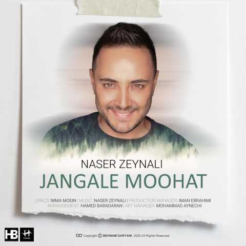 دانلود آهنگ جنگل موهات ناصر زینعلی