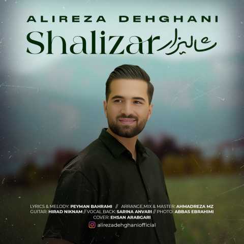 دانلود آهنگ شالیزار علیرضا دهقانی