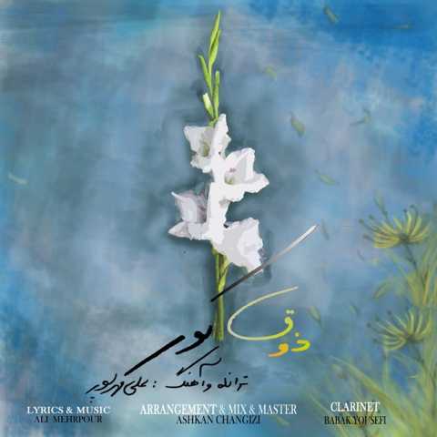 دانلود آهنگ ذوق کور علی مهرپور
