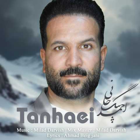 دانلود آهنگ تنهایی احمد بیگجانی