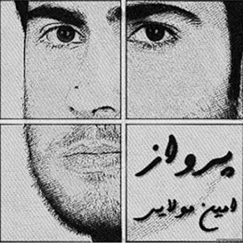 دانلود آهنگ قدیمی امین مولایی پرواز