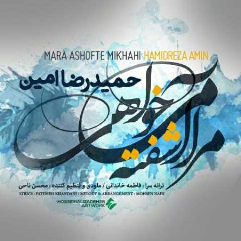 دانلود آهنگ قدیمی حمیدرضا امین مارا آشفته میکنی
