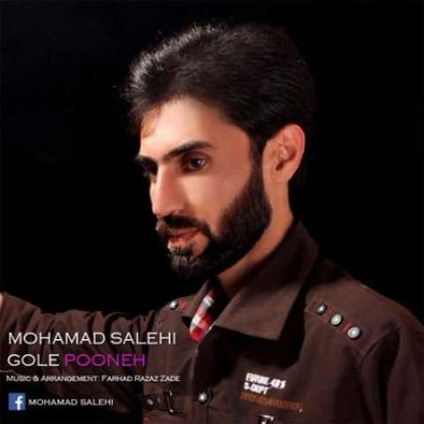دانلود آهنگ قدیمی محمد صالحی گل پونه