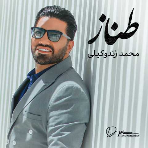 دانلود آهنگ طناز محمد زندوکیلی