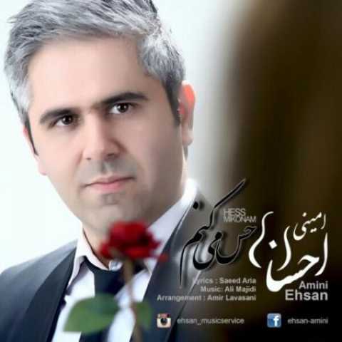 دانلود آهنگ قدیمی احسان امینی حس میکنم