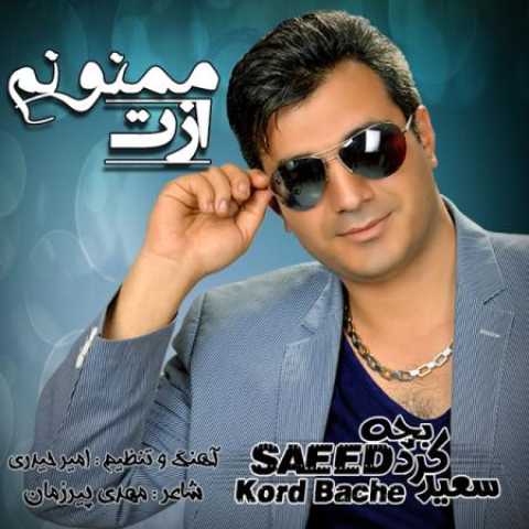 دانلود آهنگ قدیمی سعید کردبچه ازت ممنونم