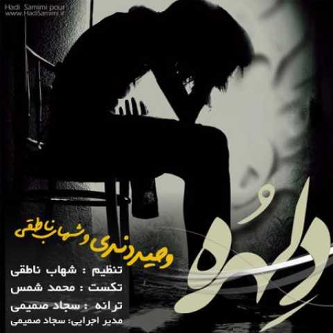 دانلود آهنگ قدیمی وحید دندی و شهاب ناطقی دلهره