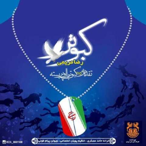 دانلود آهنگ قدیمی رضا مریمی کبوتر