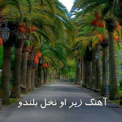 دانلود آهنگ زیر او نخل بلندو سر اون کوچه قشنگو + پخش آنلاین + متن