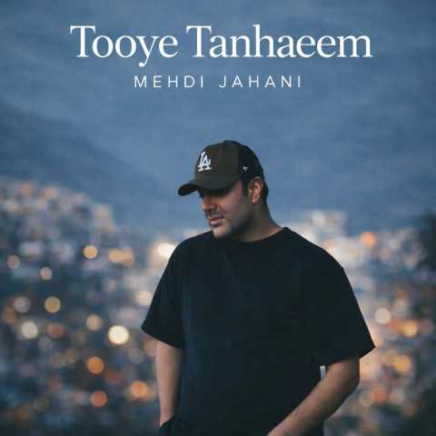 دانلود آهنگ توی تنهاییم مهدی جهانی