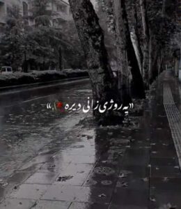 دانلود آهنگ قدرم نیزانی ی روژی زانی دیره از عباس غلامی + پخش آنلاین