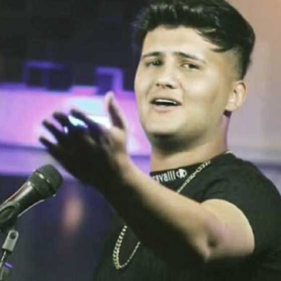 دانلود آهنگ دیوانه وار میخوامت قفلیم رو مرامت از محمد محمدی + پخش آنلاین
