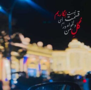 دانلود آهنگ افغانی گل دلخواه من در قسمتم نیست ای نگارم + پخش آنلاین