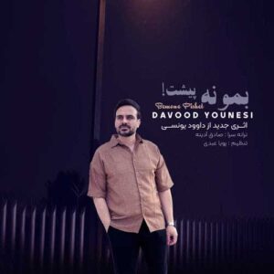 دانلود اهنگ داوود یونسی دست خودم نیست دلم تنگ میشه + متن ترانه