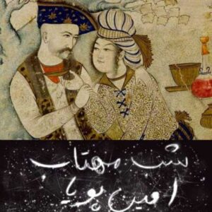 دانلود آهنگ قدیمی امین پویا شب مهتاب