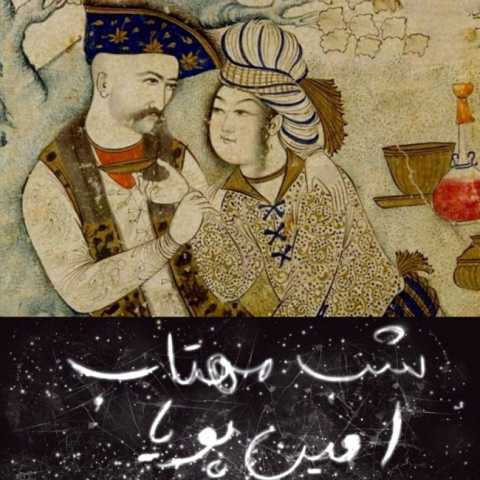 دانلود آهنگ قدیمی امین پویا شب مهتاب