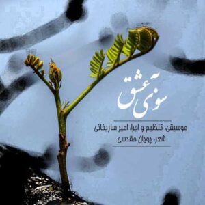 دانلود آهنگ قدیمی امیر ساریخانی به سوی عشق
