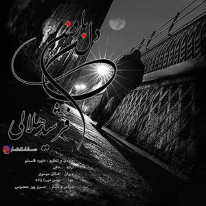 دانلود آهنگ قدیمی فرشید هلالی دل بارونی