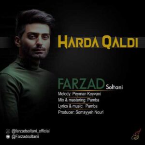 دانلود آهنگ قدیمی فرزاد سلطانی هاردا قالدی