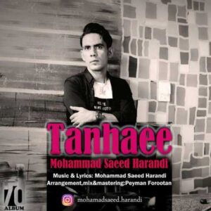 دانلود آهنگ قدیمی محمدسعید هرندی تنهایی