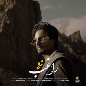 دانلود آهنگ قدیمی راغب نرو