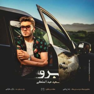 دانلود آهنگ قدیمی سعید عبدالملکی برو