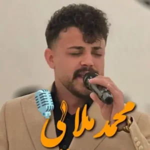 دانلود آهنگ این الکلا نمیشن مرهم دردم از محمد ملایی + متن ترانه