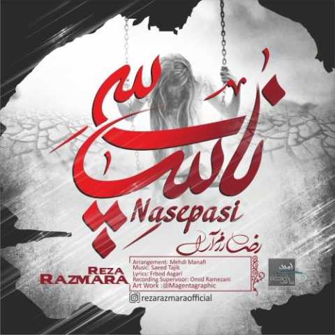دانلود آهنگ ناسپاسی با صدای رضا رزم آرا + متن