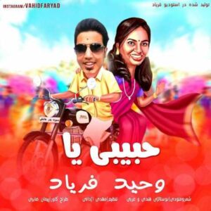 دانلود آهنگ حبیبی یا با صدای وحید فریاد + متن