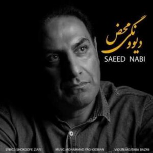 دانلود آهنگ دیوونگی محض با صدای سعید نبی + متن