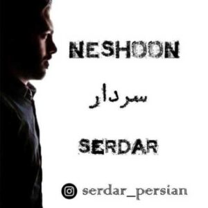 دانلود آهنگ نشون با صدای سردار + متن